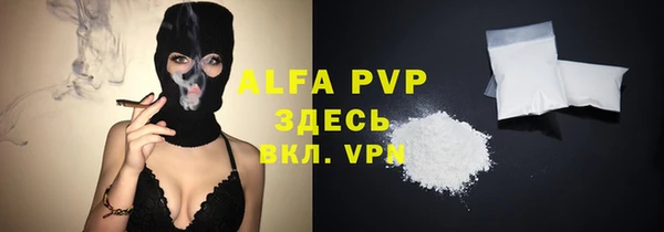 спиды Надым