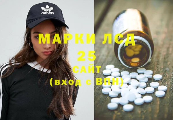индика Переславль-Залесский