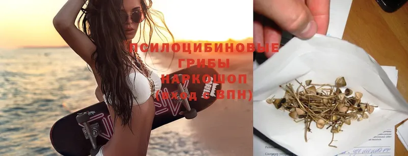 Псилоцибиновые грибы MAGIC MUSHROOMS  гидра ссылка  Кунгур 