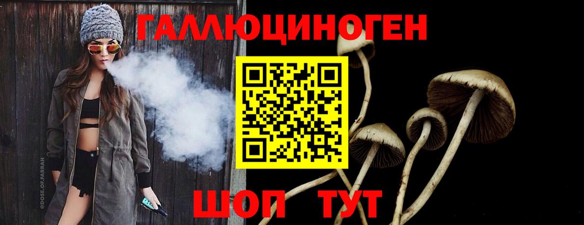 Галлюциногенные грибы MAGIC MUSHROOMS  Вход с VPN  Кунгур 